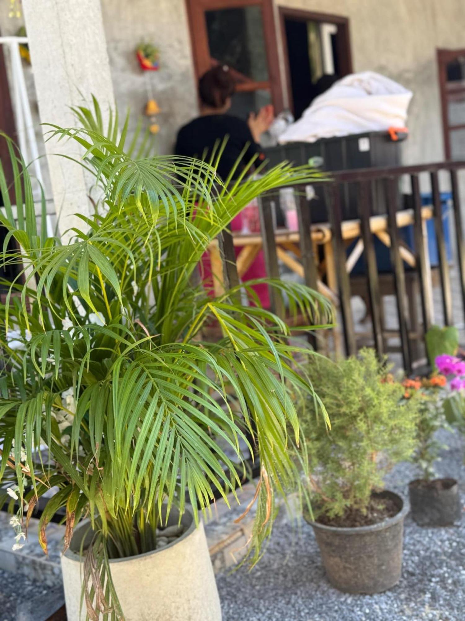 Lanta Natural Hut Garden Koh Lanta Bagian luar foto